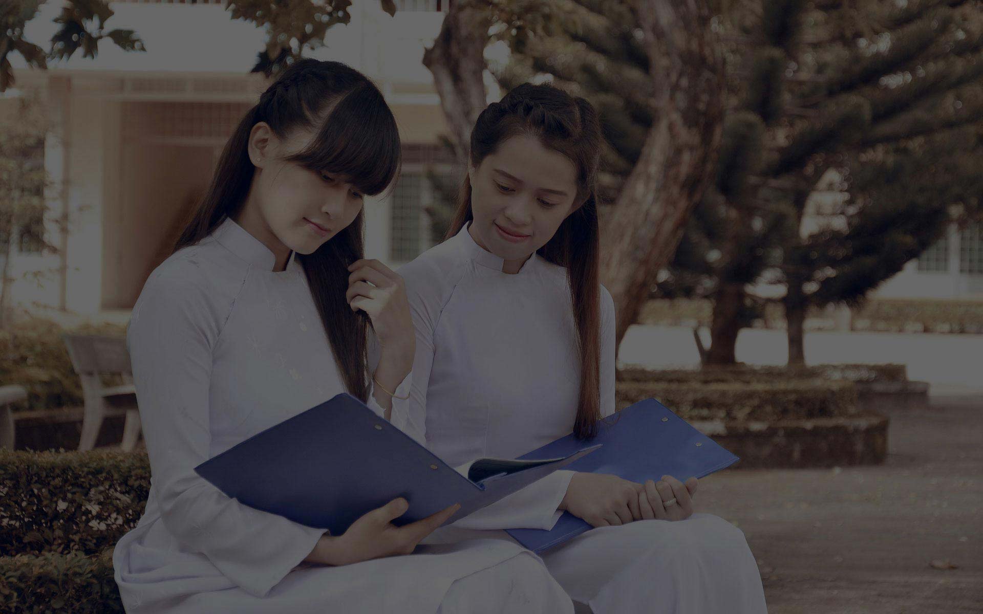 免费ddos攻击网页端